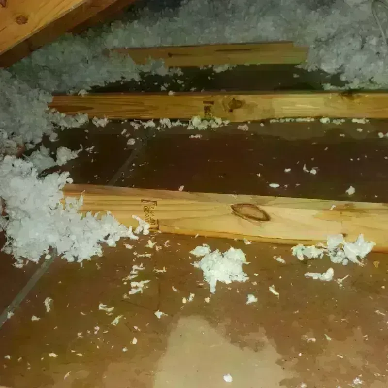 Attic Water Damage in Windsor, NC