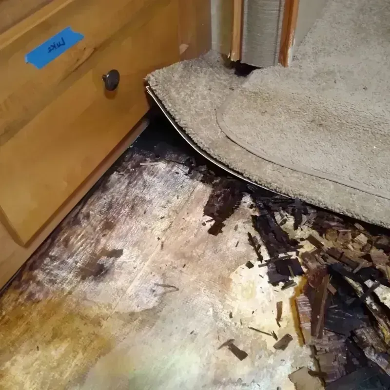 Wood Floor Water Damage in Windsor, NC